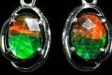 Gorgeous Ammolite Earrings with Sterling Silver #181176-1